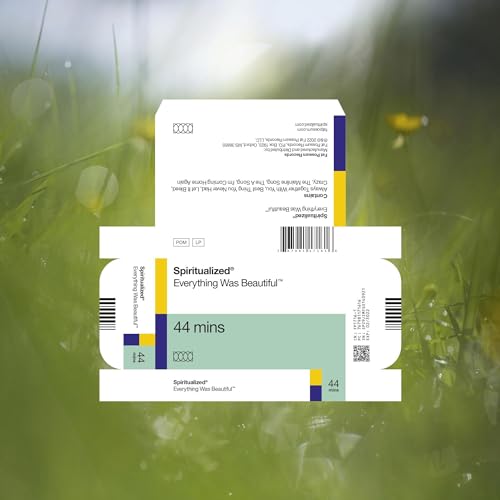 Spiritualized album “Everything Was Beautiful” vinyl packaging laid flat on grass.