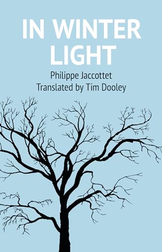 In Winter Light