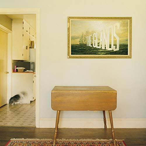 Vinyl album cover featuring a framed painting in a home interior.