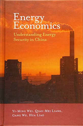 Energy Economics: Understanding Energy Security in China