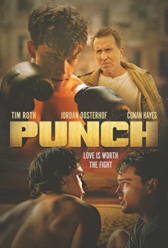 DVD cover for "Punch" featuring two men and boxing gloves.