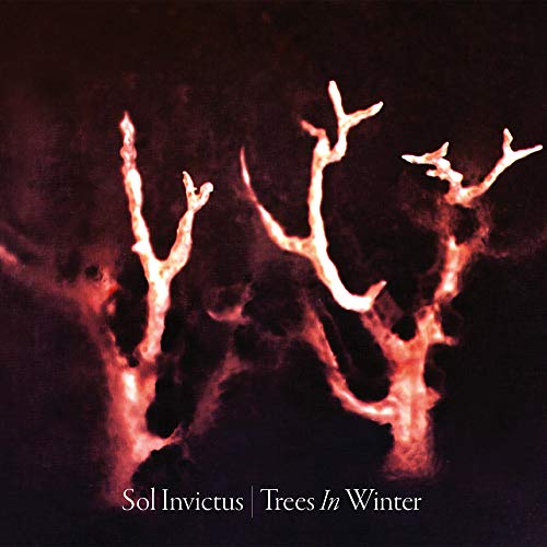 CD cover: stark, fiery branches against a dark, blurred background.