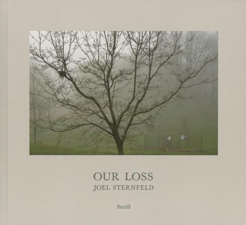 Joel Sternfeld: Our Loss