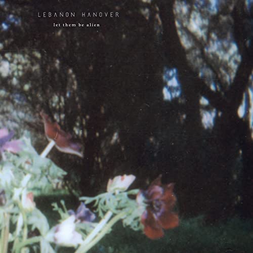 Album cover featuring dark, blurry trees behind out-of-focus flowers with band and album text.