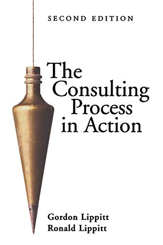 The Consulting Process in Action