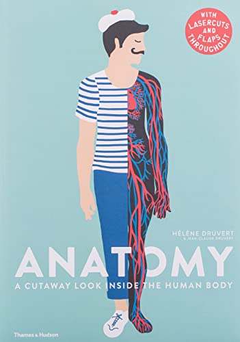 Anatomy: A Cutaway Look Inside the Human Body