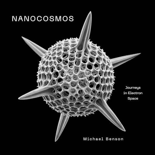 Nanocosmos : Journeys in Electron Space