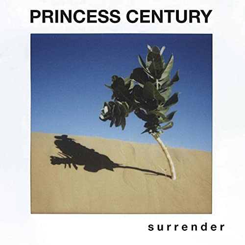 Album cover for Princess Century’s “surrender” featuring a plant in sand.