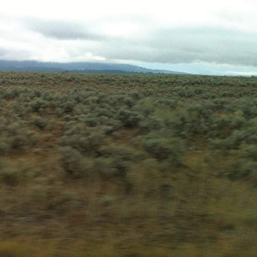 Vinyl record cover featuring a blurred, hazy landscape under a cloudy sky.