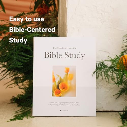 The Good and Beautiful Bible Study Vol 2 (SC)