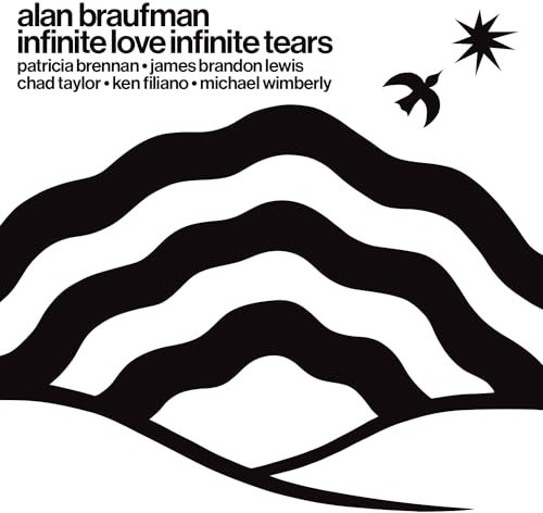 CD cover: black and white landscape with bird and starburst.