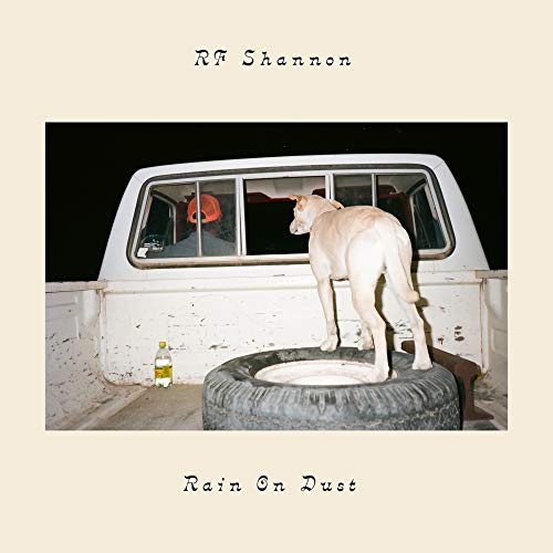 A dog stands on a tire in the bed of a white pickup truck.