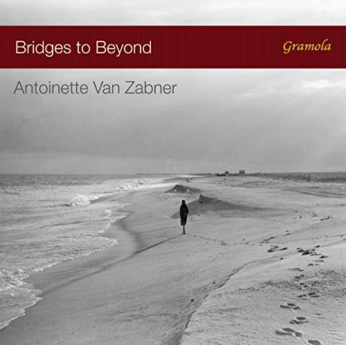 CD cover: lone figure walking on a grayscale beach.