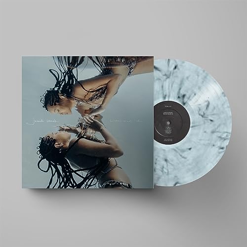 Jamila Woods’ “Water Made Us” vinyl record with a cloudy, grey disc.
