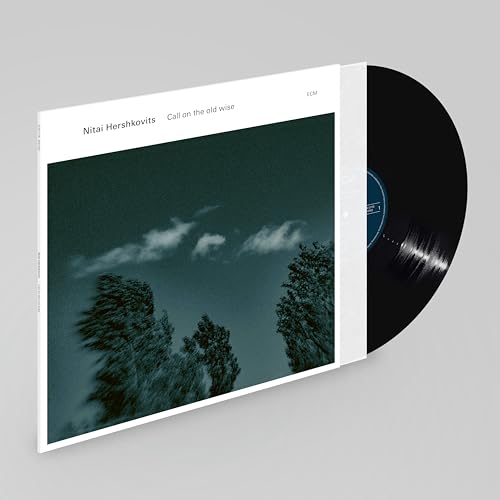 Vinyl record and album cover with a dark teal sky and trees.