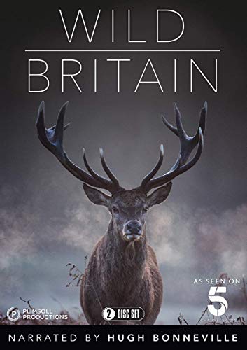 DVD cover for Wild Britain featuring a red deer stag against a misty background.