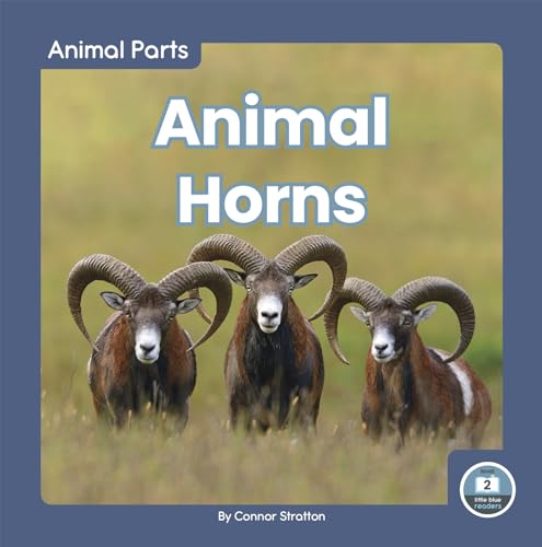 Animal Horns