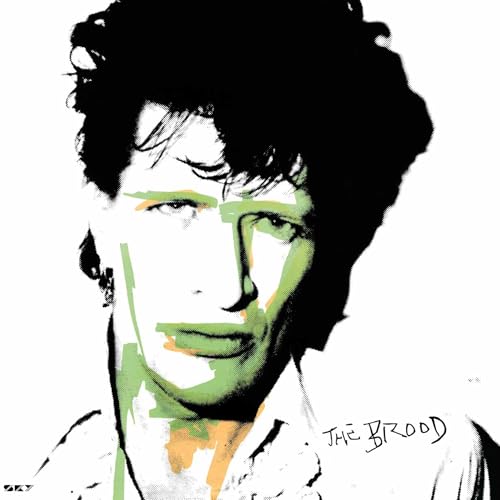 Vinyl record of Herman Brood’s “The Brood” album, black cover art.