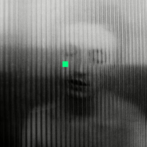 Black and white portrait with green square, distorted texture.