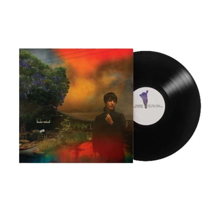 Vinyl record and album cover featuring a person and colorful landscape.