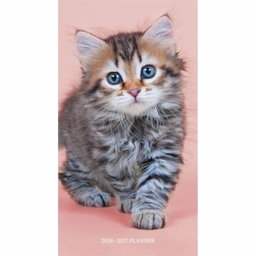 Kittens Sunday Start 2 Year Pocket Planner Diary 2026-7