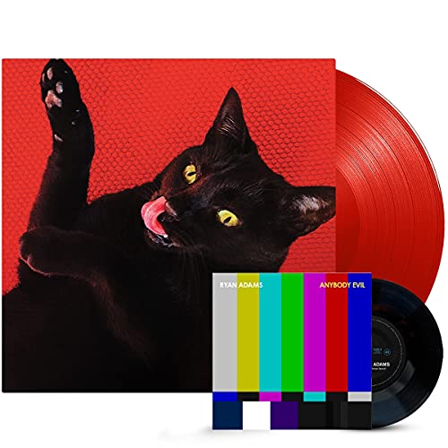 Ryan Adams āBig Colorsā vinyl record with a black cat cover.