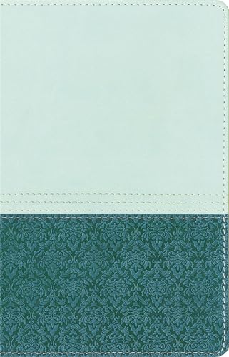 NIV Study Bible Sea Glass/Caribbean Duo-Tone Personal Size
