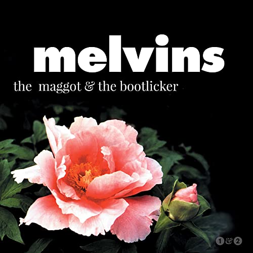 Melvins album cover featuring a pink peony flower against a dark background.