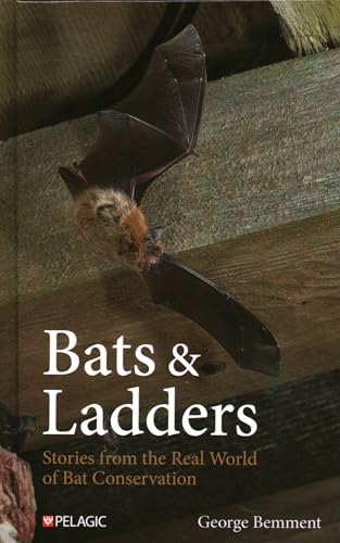 Bats & Ladders : Stories from the Real World of Bat Conservation