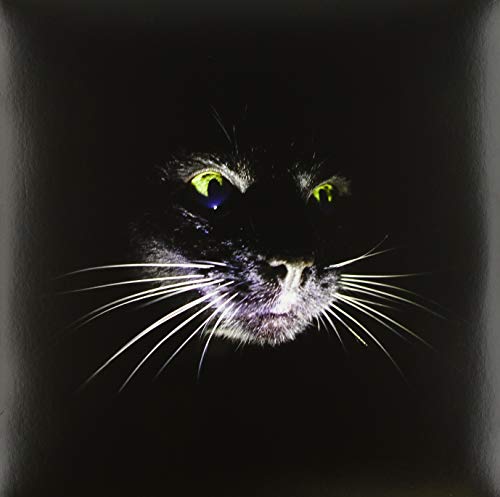Close-up of a black cat’s face with bright yellow eyes, vinyl record cover.