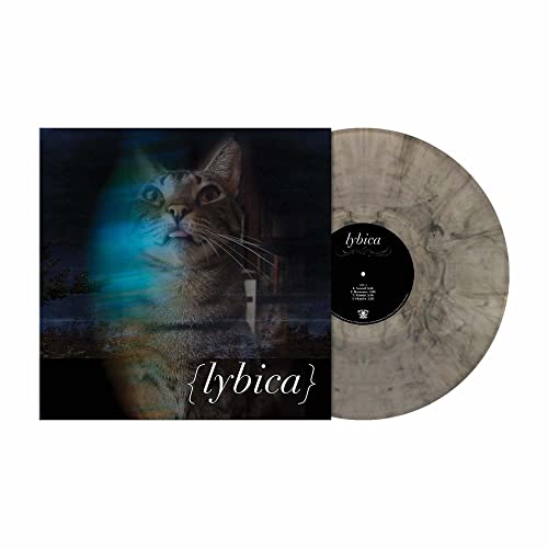 Vinyl record with a cat portrait on the cover, marbled gray color.