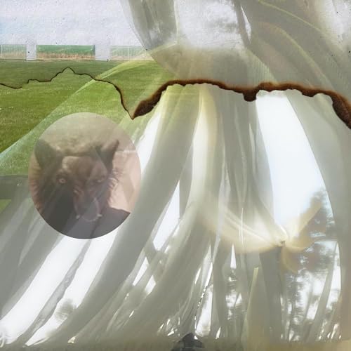Abstract album cover with a portrait and fractured green landscape.