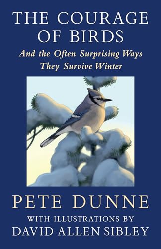 The Courage of Birds : And the Often Surprising Ways They Survive Winter
