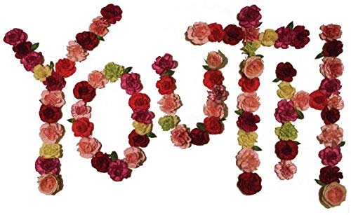 The word "YOUTH" spelled out with colorful, varied roses on a white background.