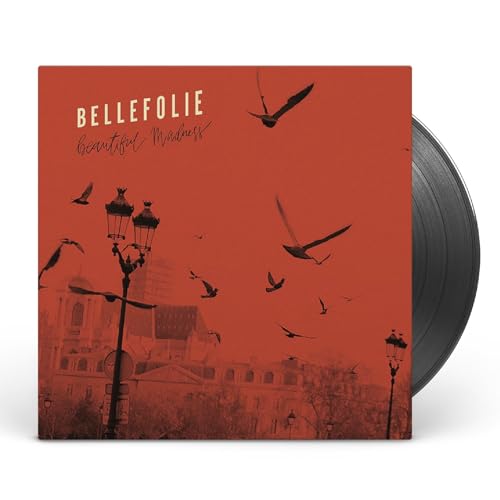 Vinyl record with red album cover featuring silhouetted birds and cityscape.