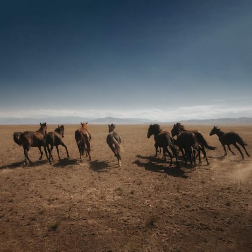 Herd of brown horses running across a dry, dusty landscape.