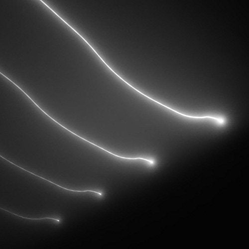 Abstract black and white image of glowing, curved light streaks.