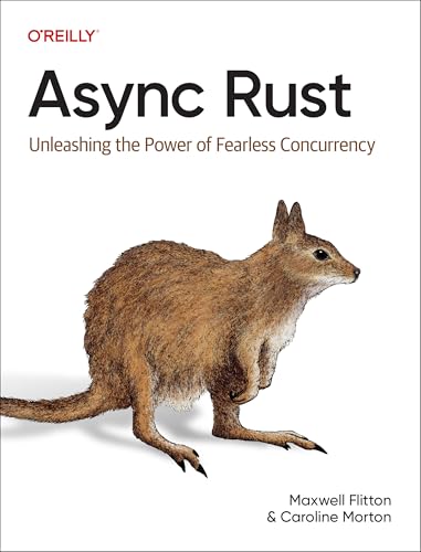 ASYNC Rust : Unleashing the Power of Fearless Concurrency