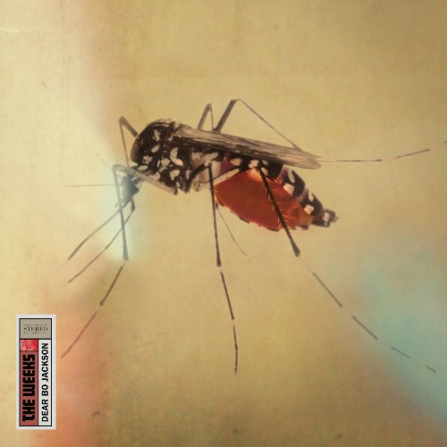 CD cover: a close-up of a mosquito against a blurred beige background.