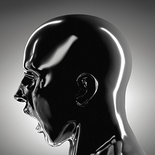 Shiny black head sculpture with a bright white line detail.
