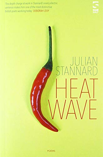 Heat Wave (Salt Modern Poets)