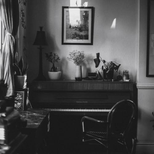 Black and white photo of a piano with plants and framed art.