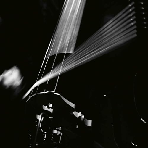 Black and white image of strings and bridge of a double bass.