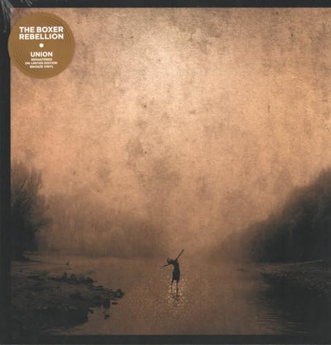 Vinyl album cover: a lone figure stands in a misty, brown landscape.