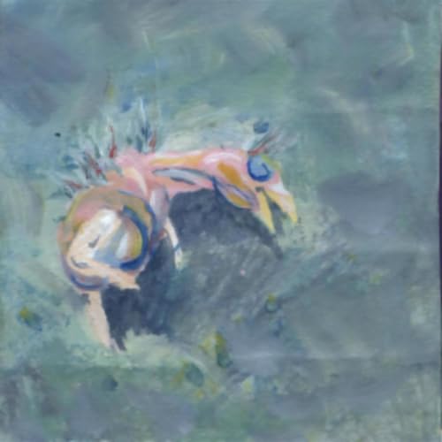 Painted vinyl record cover with abstract bird and swirling colors.
