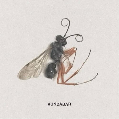 Illustration of a wasp against a pale background, with the text "Vundabar".