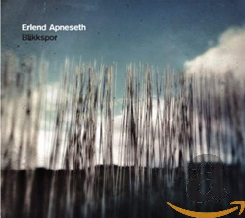 CD cover for Erlend Apneseth’s “Blikkspor” featuring blurry reeds and sky.