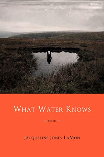 Book cover with a landscape reflecting in a dark pool of water.