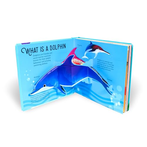 Dolphins