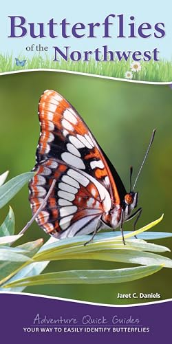 Butterflies of the Northwest: Your Way to Easily Identify Butterflies